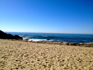 The Pacific Ocean in all its cerulean glory.  Did I mention it's November?