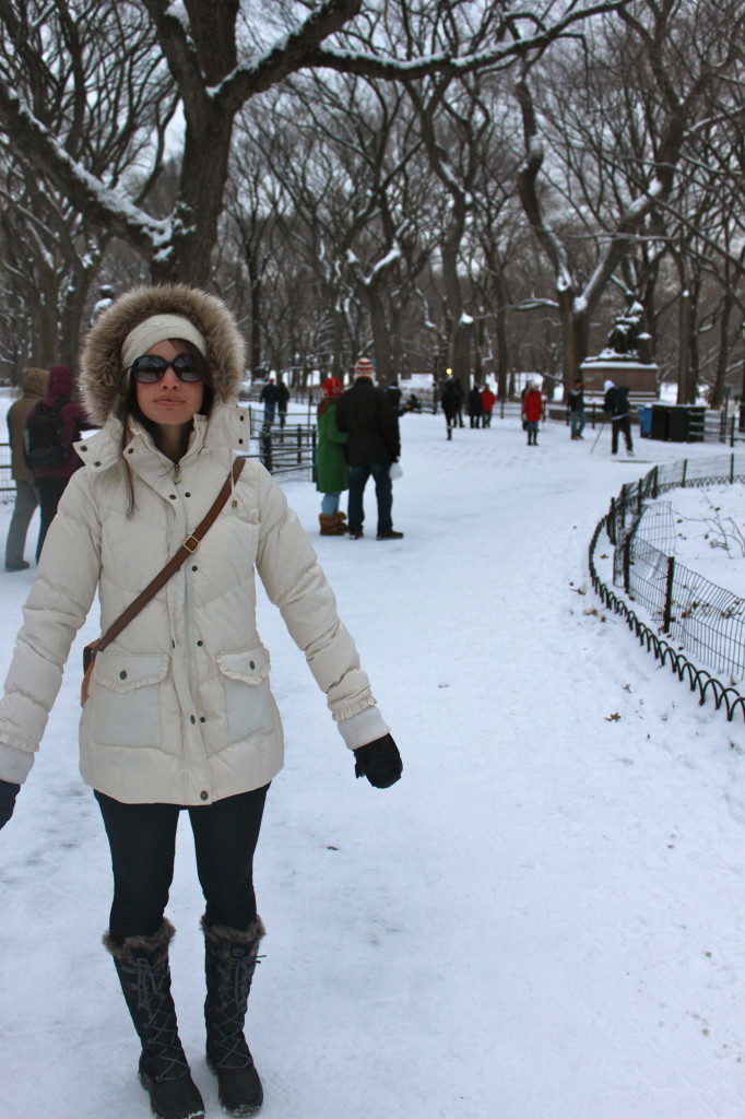 central park nyc snow