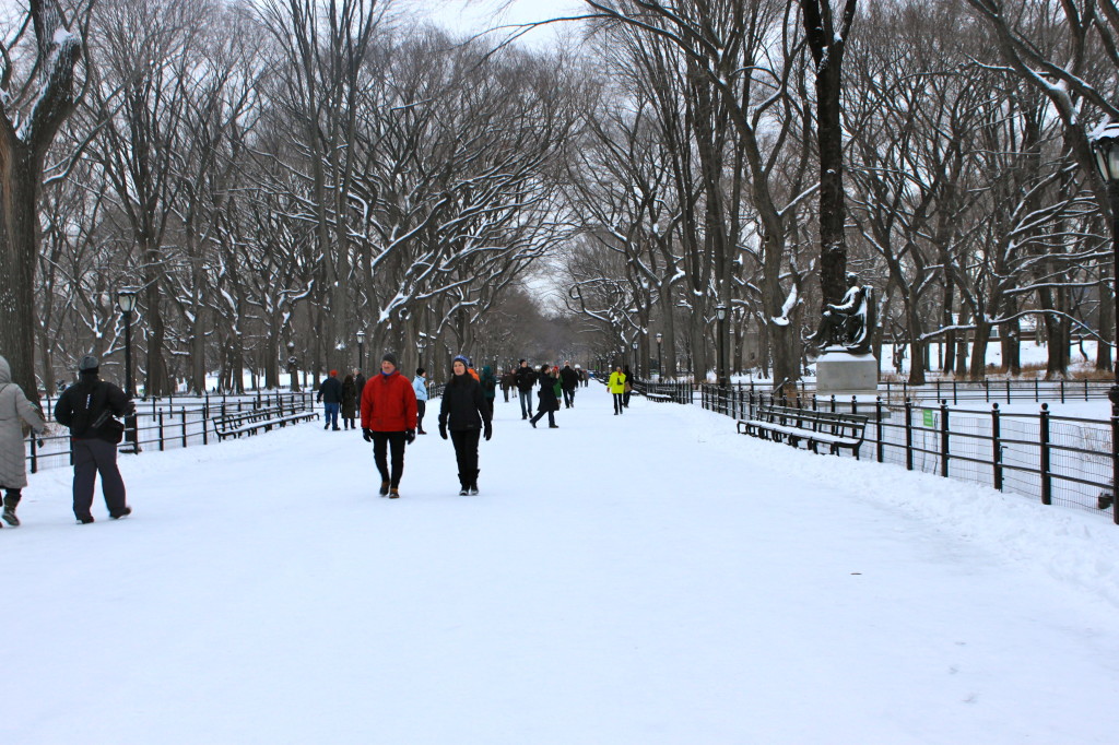 central park nyc snow literary walk