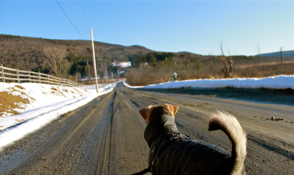 ice glen road great barrington ma