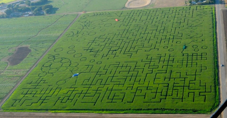 What do you expect?  The next town over laid claim to the world's biggest corn maze.