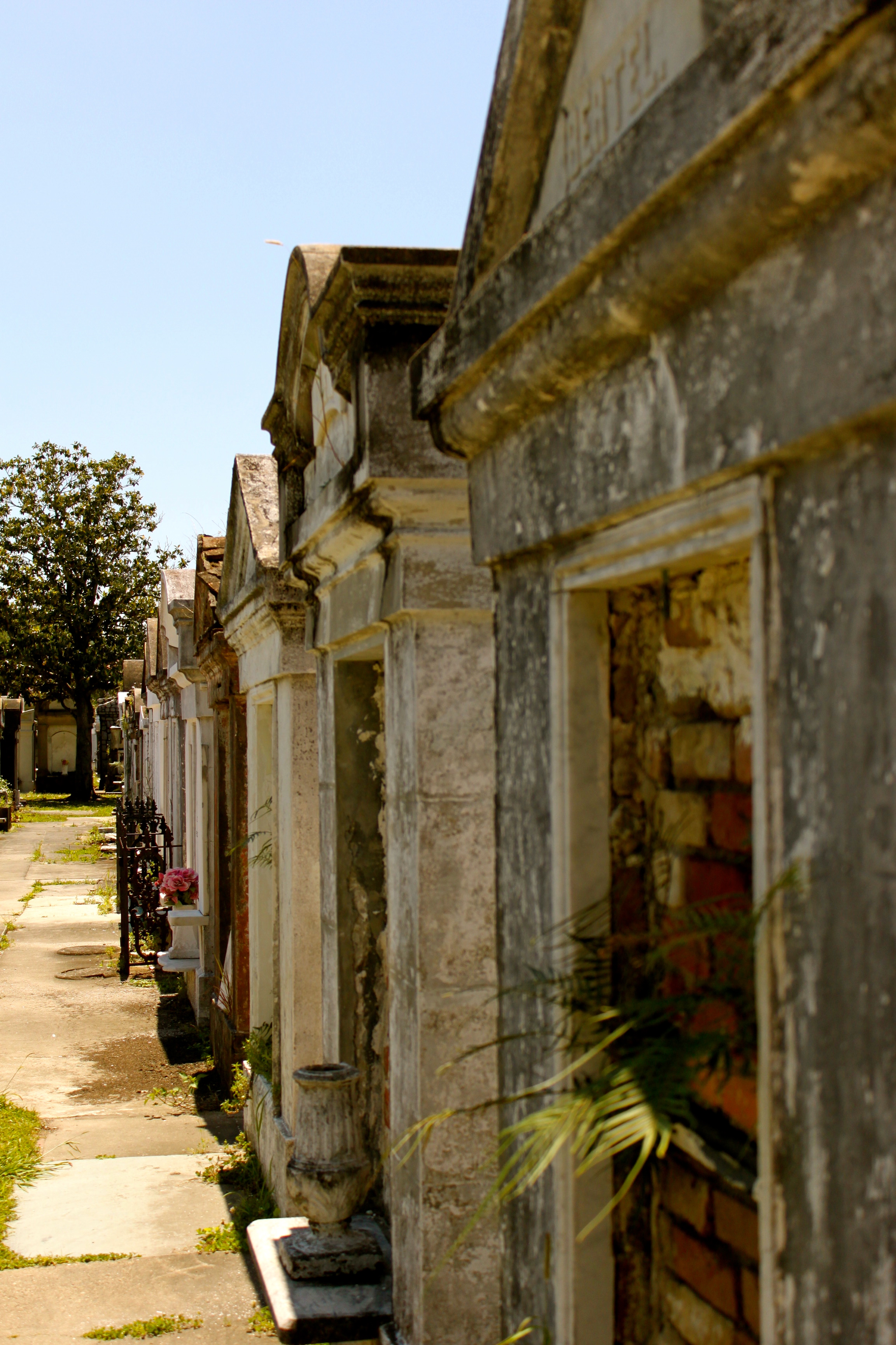 lafayette cemetery new orleans louisiana