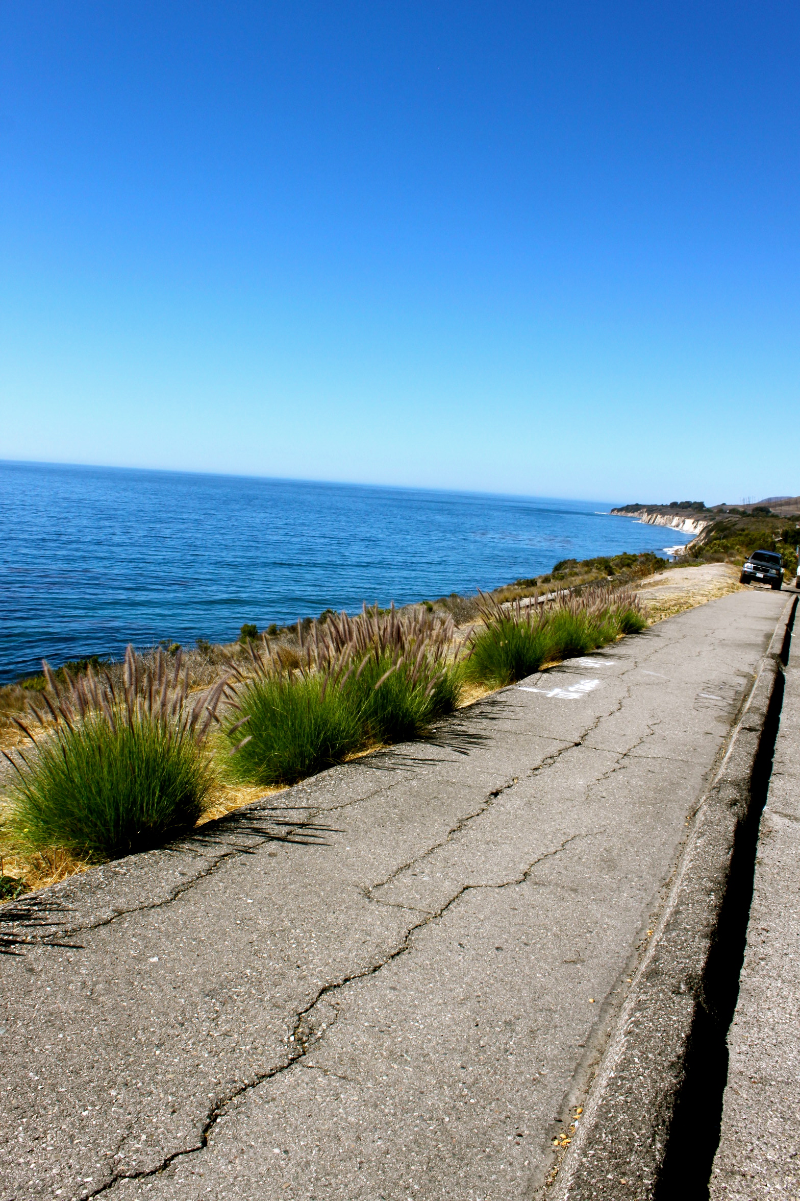 rincon beach california