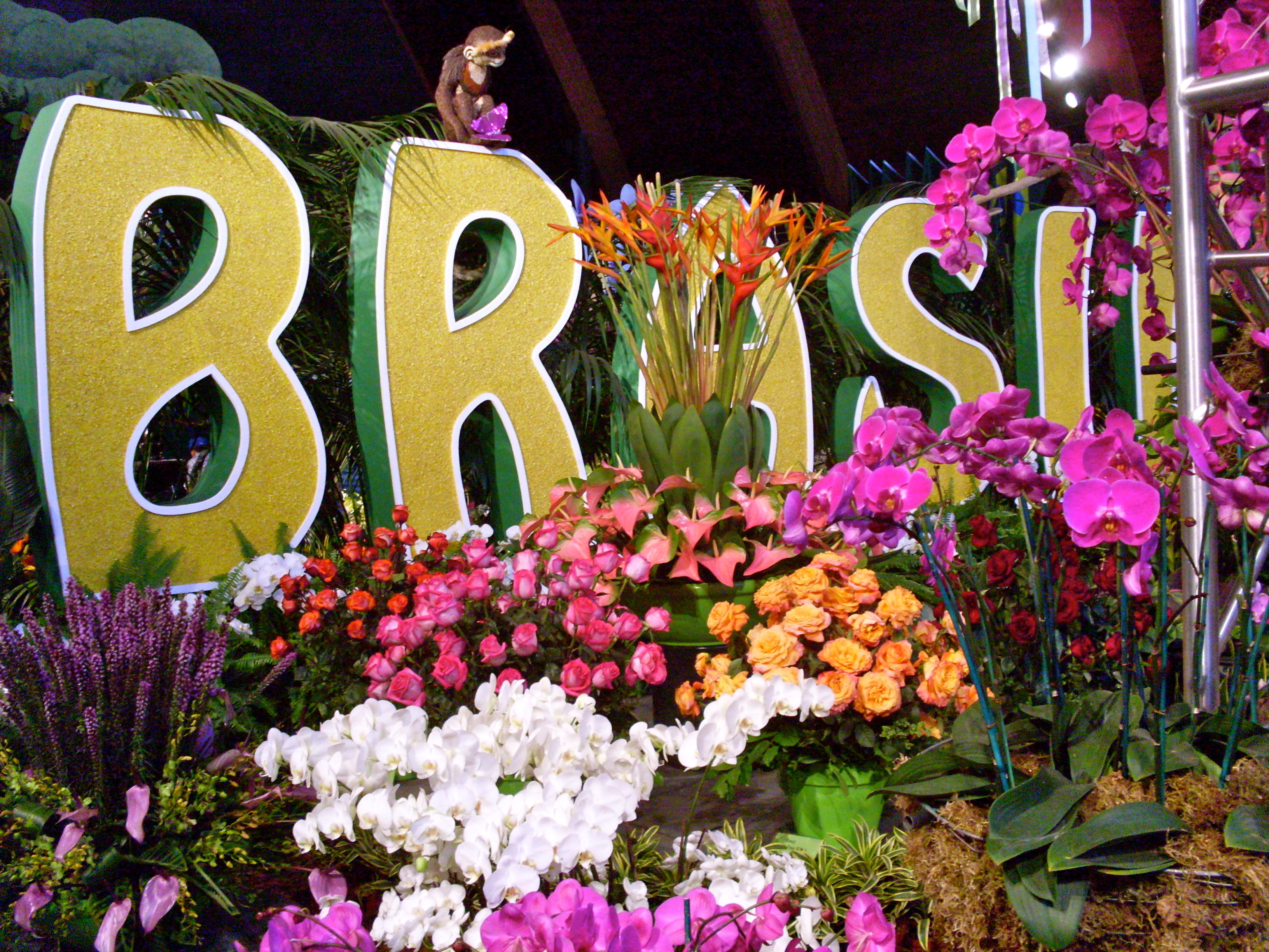 flower exhibit la county fair