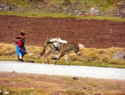 peru hiram bingham train machu picchu