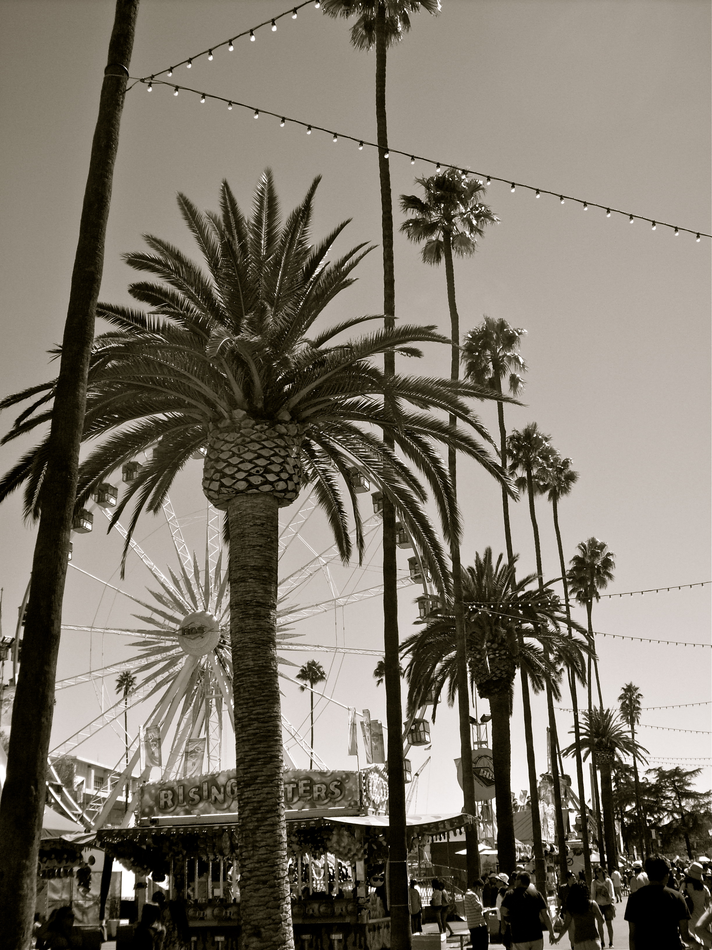 la county fair