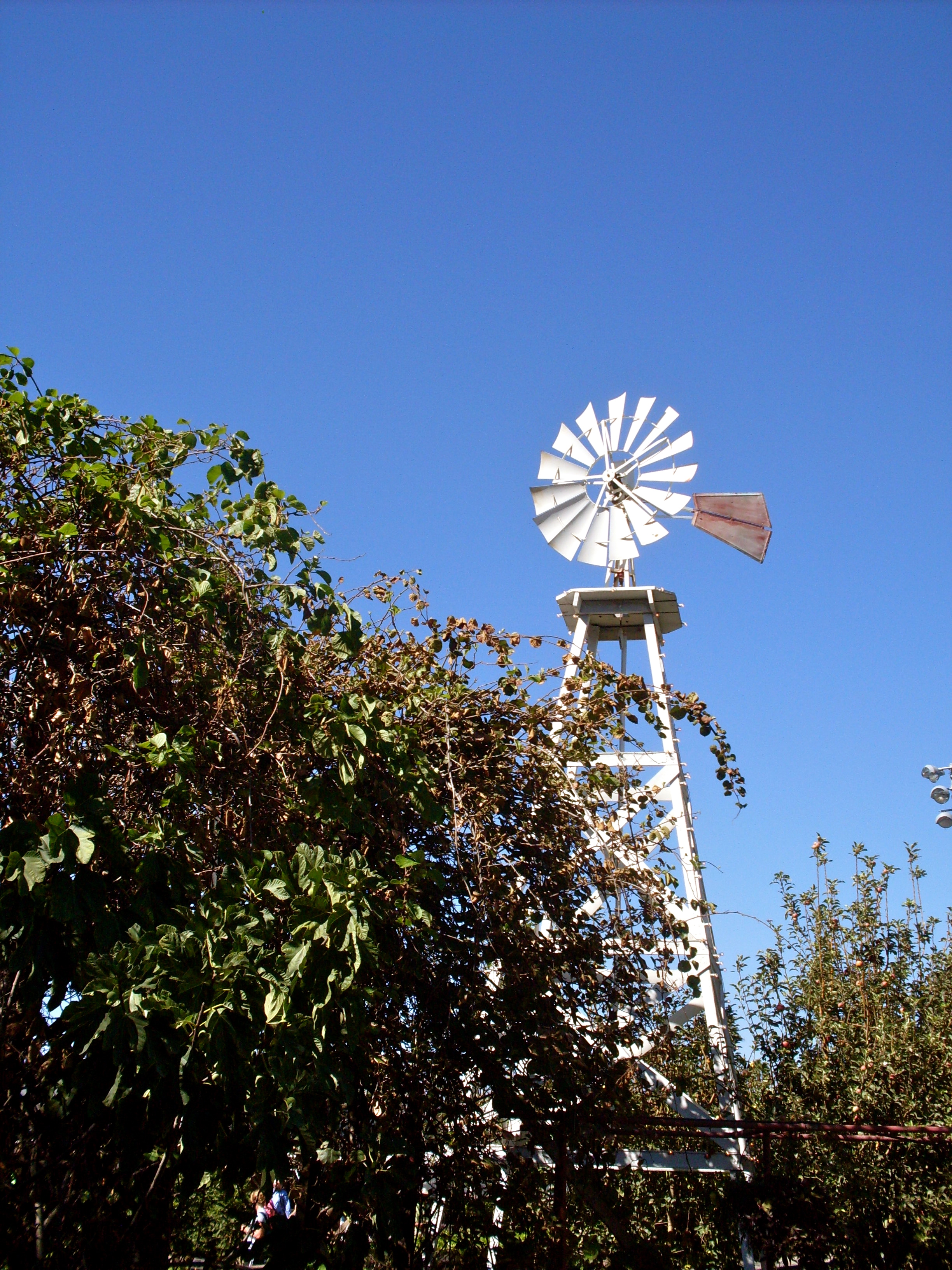 la county fair