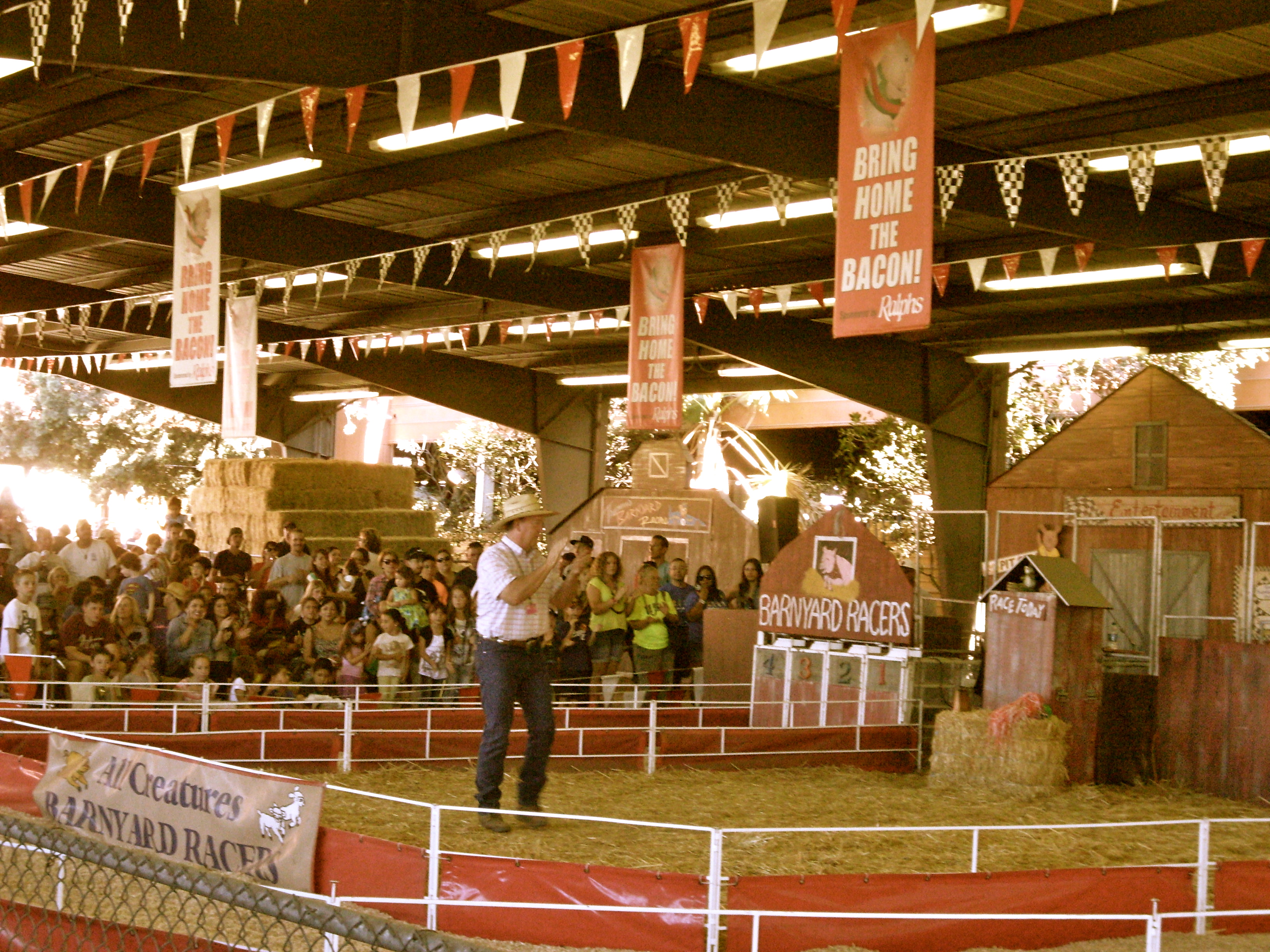 la county fair pig race