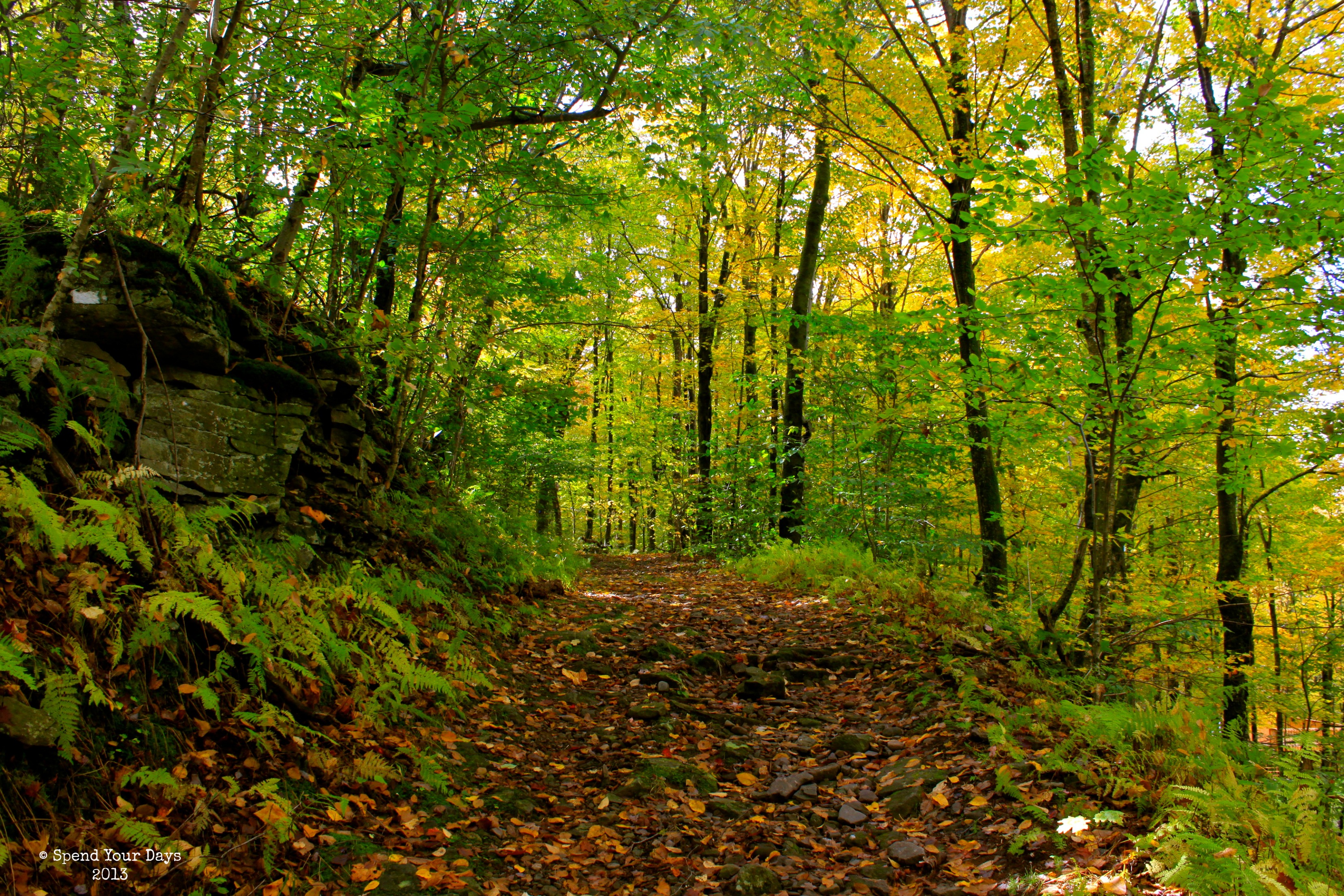 catskills mountains ny balsam lake mountain hike