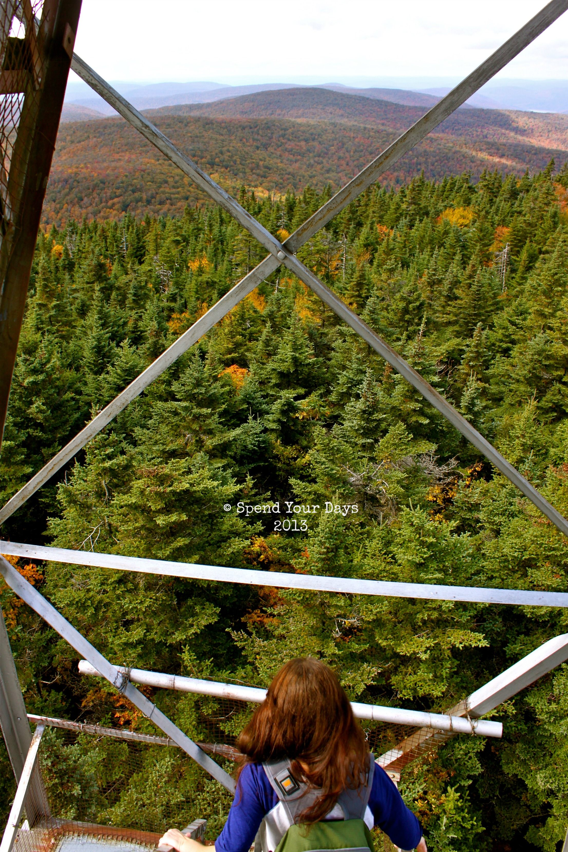 catskills mountain ny balsam lake fire tower