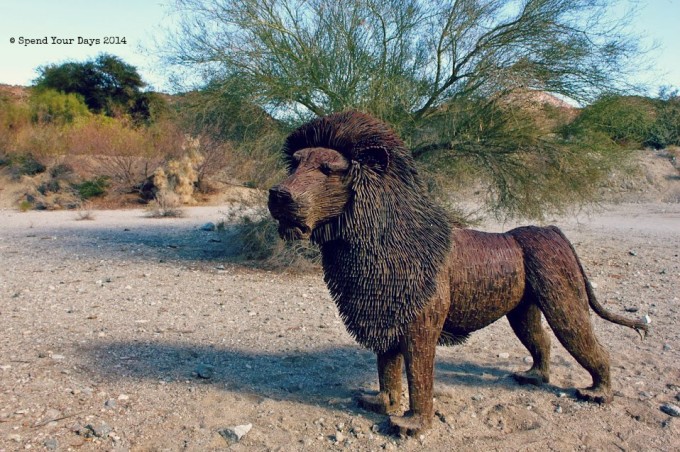 living desert palm desert california lion