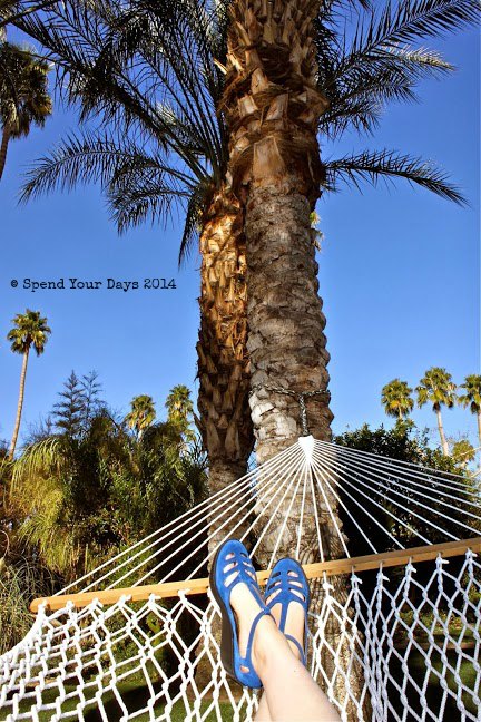 parker palm springs hammock california