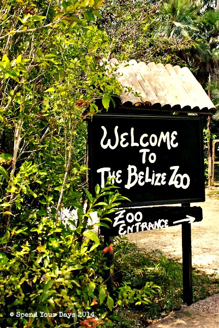 belize zoo