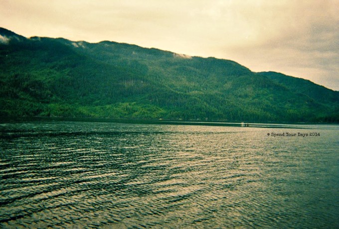 orca vancouver island johnstone strait