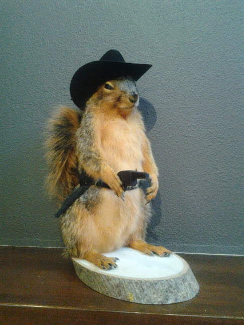 cowboy squirrel taxidermy