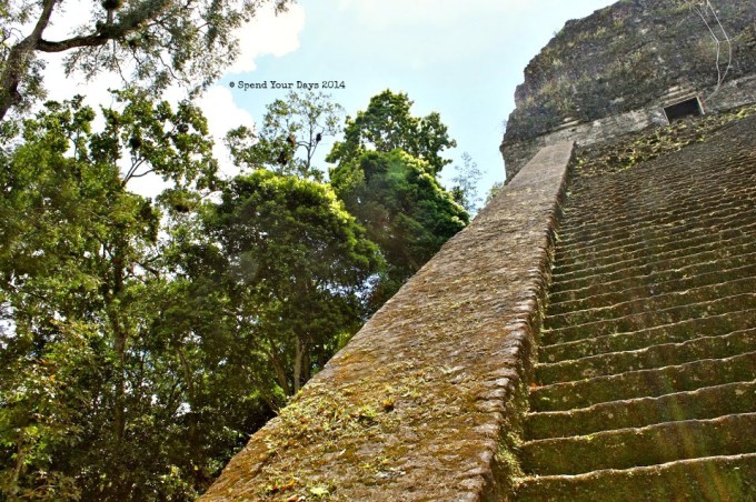 temple v tikal guatemala