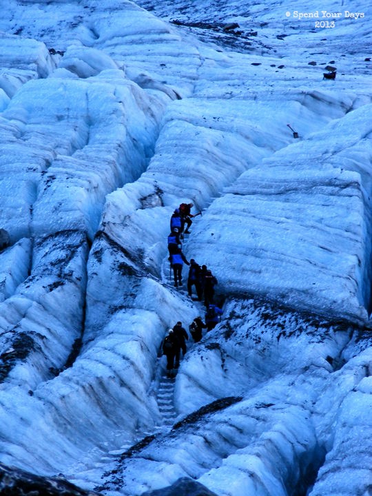 Fox Glacier New Zealand south island